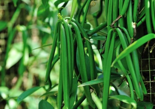 WhatsApp Image 2025-08-20 at 18.46.53